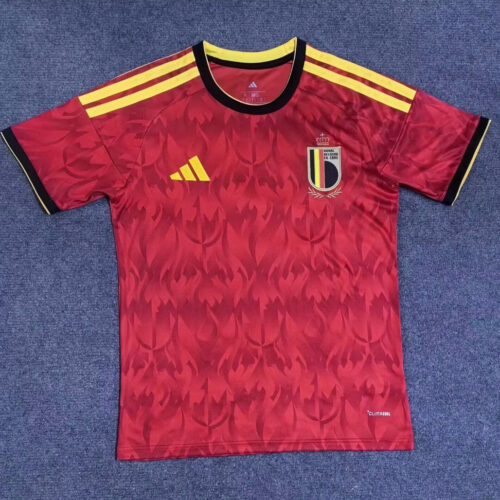 IMG_9488.jpg België Thuisshirt 25/26